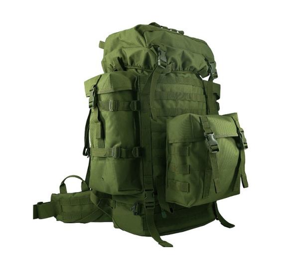 Outdoor Travel Backpack with Large Capacity Zipper Closure and Contemporary