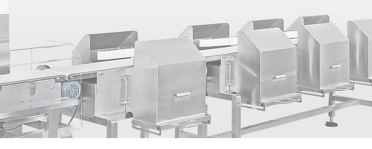 Apple Onion Shrimp Garlic Fish Sea Cucumber Grading Machine Intelligent Full Color Touch Screen
