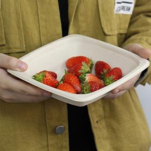 Quality Eco Biodegradable Sugarcane Disposable Bowls 16oz Square Bowl With Lid wholesale