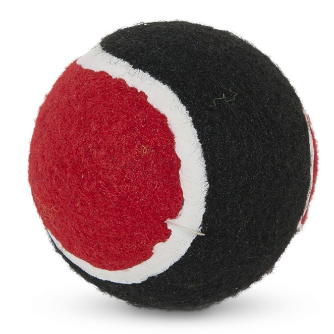 2 Pack Paws N Claws Multi Color Tennis Balls Fetch Dog Toy Proceeds Animal Aid