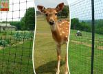 Plastic Deer Fence Netting , Garden Deer Mesh Fencing 1.2 Meters Height
