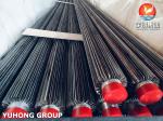 ASTM A213/ ASME SA213 TP316L Longitudinal Finned Tube With SS316L Fin Strip