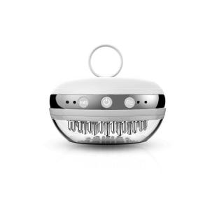 Quality White Mini Hair Growth 750mAh Electric Massage Comb wholesale