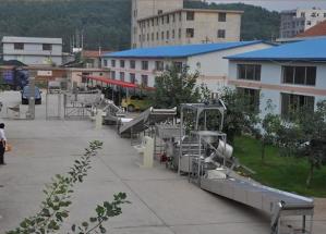 Quality Automatic Continuous 36kw 230l Groundnut Frying Machine wholesale