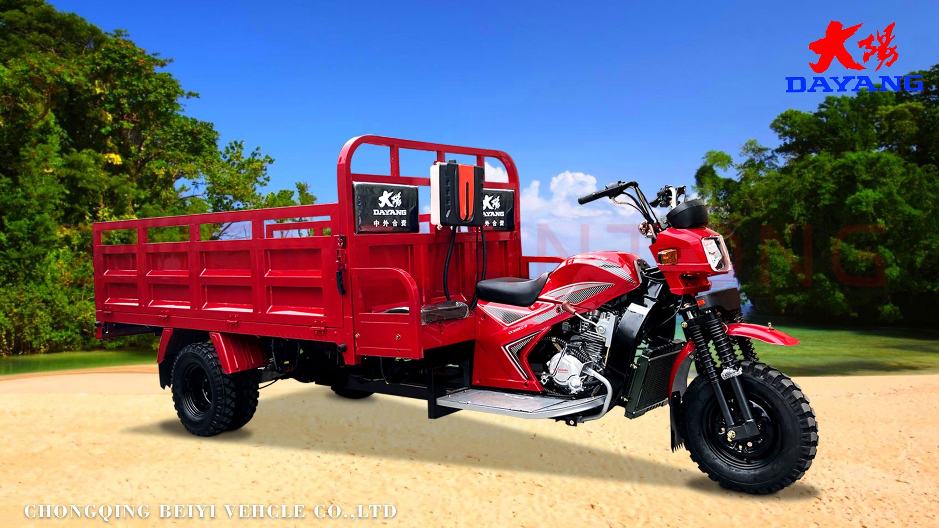 Standard Size Motorized Tricycles 800kg Loading Capacity for Your Business Needs