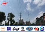 OEM Communication Steel Tubular Pole Artifical Antenna Tower Cell Camouflaged