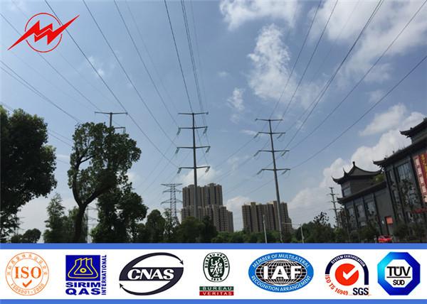 OEM Communication Steel Tubular Pole Artifical Antenna Tower Cell Camouflaged