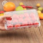 Recyclable Clear Plastic Clamshell Containers for Fruits & Vegetables Secure