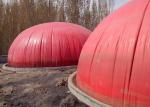 Household Biogas Digester Tank Clean Energy Saving Biogas Reactor