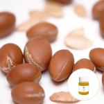 Cas 223747 87 3 Bulk Pure Organic Essential Oils Moroccan Argan Oil For Hair