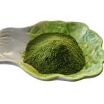 Biostimulants Natural Growth Regulator Seaweed Polysaccharides Fertilizer Green