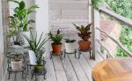 Modern Design Black Iron Plant Stand for Indoor Outdoor Plants 5mm Thickness