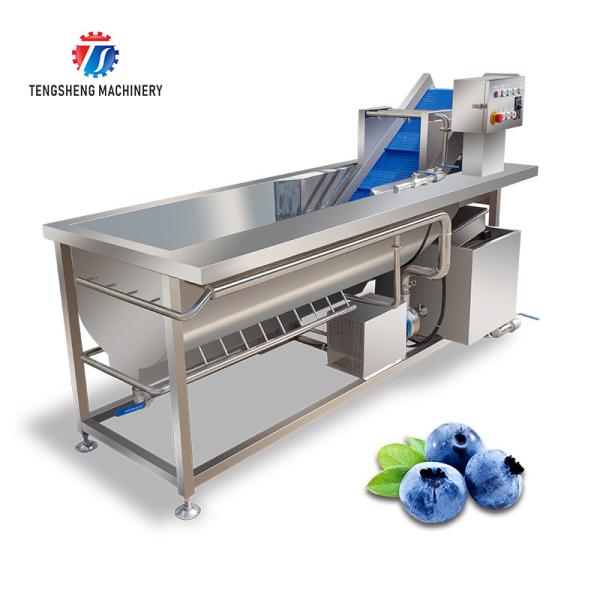 180KG 304 stainless steel eddy current vegetable washing machine Eddy current