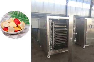 Quality 304 SUS Industrial Freeze Dryer With Bitzer Refrigeration System wholesale