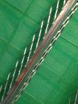 50*50mm Galvanized Corner Bead 0.35mm Thickness Building Materials