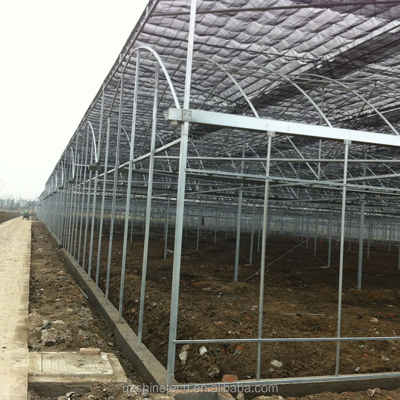 Multi Span Agricultural Greenhouses With PE Film Covering And Gutter Connection