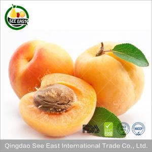 Quality 100% Natural Freeze Dried Apricot Dice freeze dried fruit convinient food wholesale