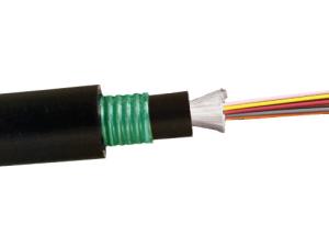Quality Distribution Armoured Fiber Optic Cable For Indoor Outdoor Cabling And Connecting wholesale
