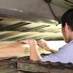 0.5mm Thickness Natural Tamo Ash Veneer For Car Interior And Musical Instrument