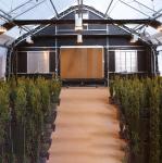 Pc Sheet Cannabis Blackout Light Deprivation Greenhouse Agriculture Plants