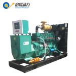 10-800KW Biogas Generator Set Price