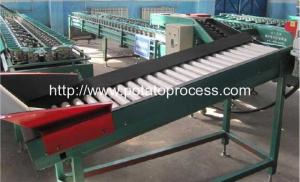 Quality Automatic Potato Weight Grader Machine wholesale