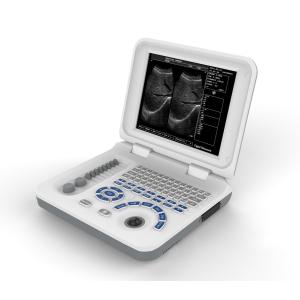 Quality Portable Veterinary Ultrasound Machines Equipment 11.1V 2500MAH wholesale