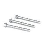 Concrete Building M10 Hex Washer Head Concrete Bolts for Secure Rebar from