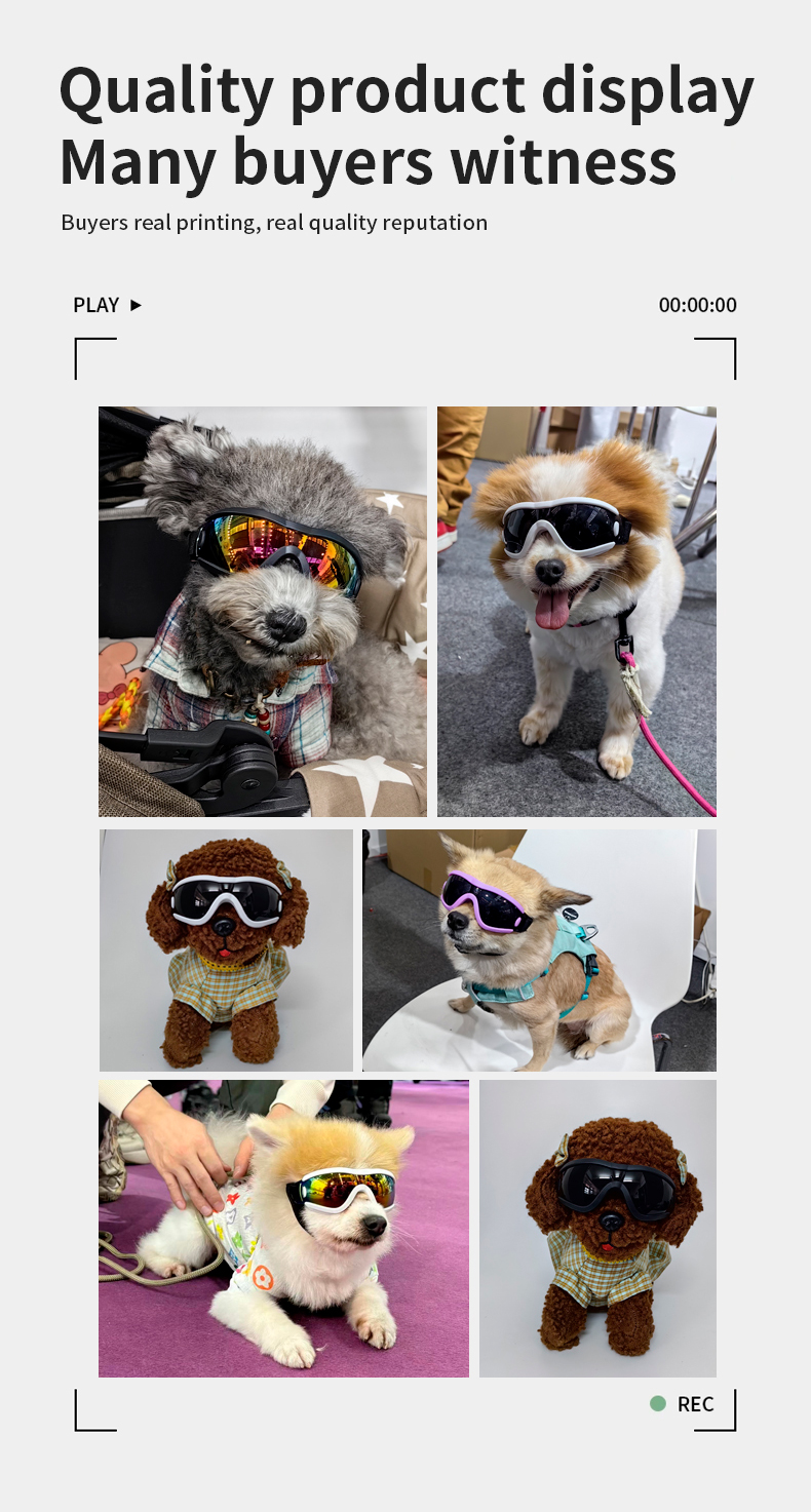 Dog Goggles Material Small Medium Pets UV Protection Wind and Sand Resistance