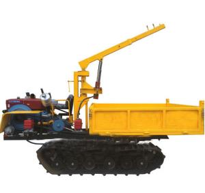 Quality Manufacturer Supply Crawler Lorry-Mounted Crane, Paddy Field Truck, Farm Transporter, Crawler Crane wholesale