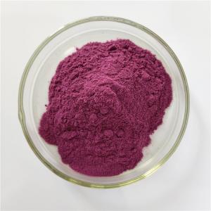 Quality Blackcurrant Extract For Immune Anti-fatigue wholesale