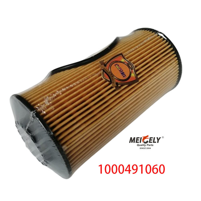 1000491060 FAW Jiefang J6PJH6 Truck Oil Filter