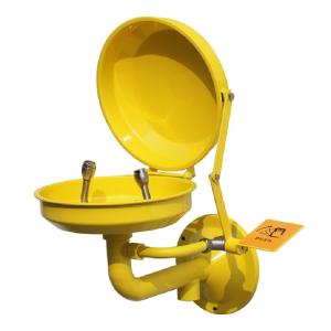Quality Wall-mounted ss304 ABS coating eye washer, eye wash station with cover auto open eye wash station with round bracket wholesale