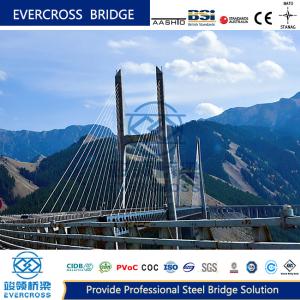 Quality Custom Cable Stayed Bridges Permanent Steel Cable Pedestrian Bridge wholesale