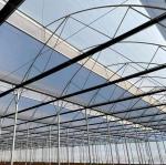 Customization Snow Vibrator Greenhouse for Tomato Planting Request Your