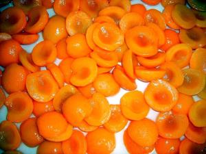 Quality New Crop Fresh and Nutritious Canned Apricot Halves in Syrup Golden Sun wholesale