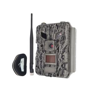 Quality 24MP Cloud Wireless Rear Time Image Game Camera 4G Cellular Game Camera wholesale