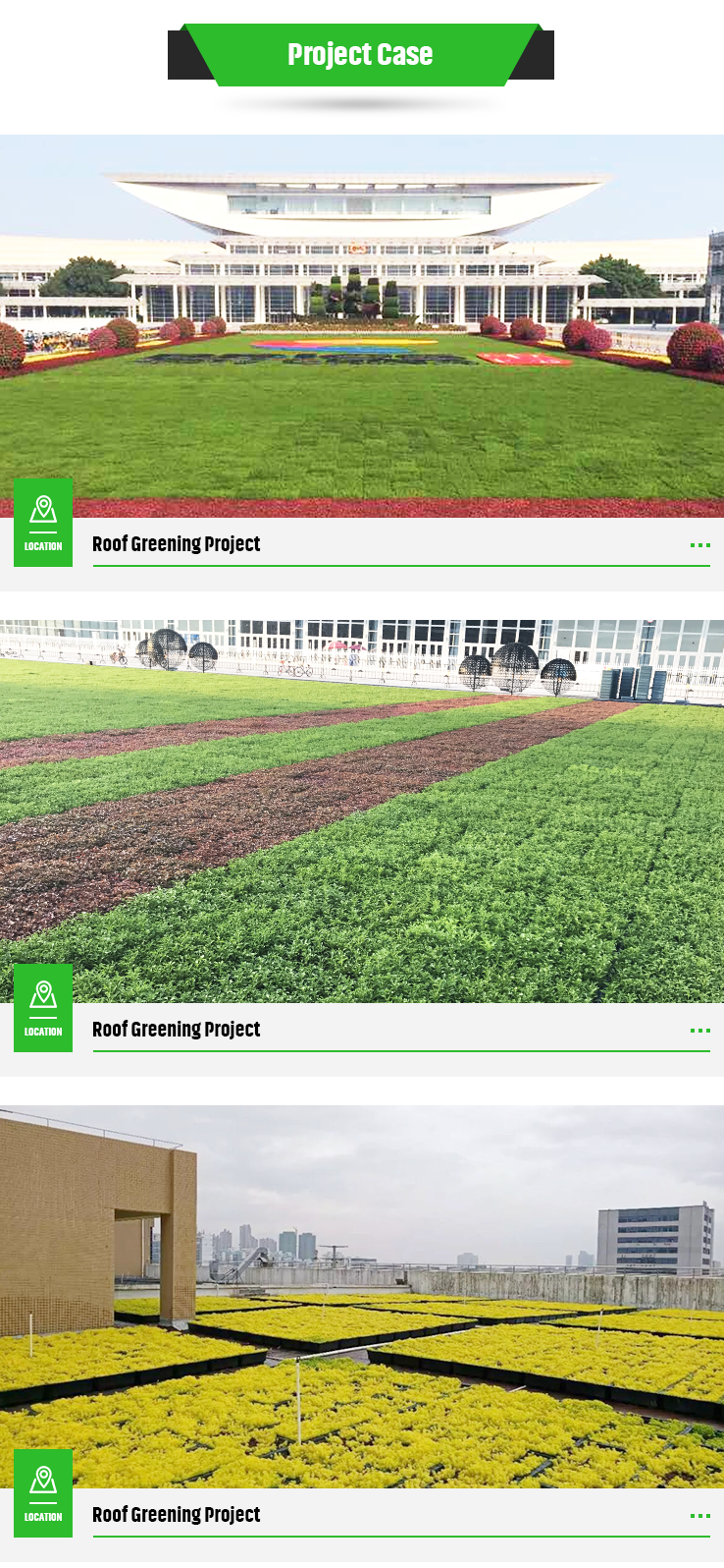 Modern Green Roof Trays The Ultimate Solution for Planting Flowers and Vegetables
