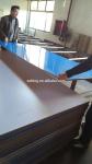 Wall Scratch Resistant Fireproof Uv High Gloss Board 15mm