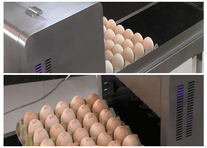 Egg Multicolor Color Continuous Inkjet Printer With Food Edible Ink