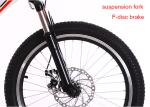 OEM Aluminum Alloy 20 Inch Mountain Bike With Gears For Youth