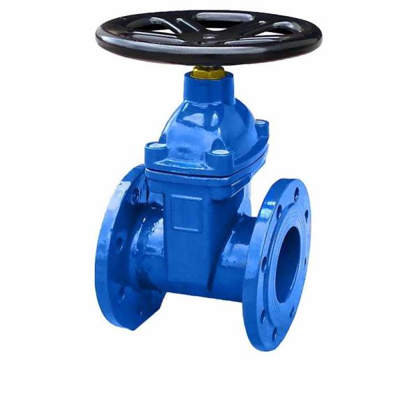 DIN3352 F4 Non Rising Stem Ductile Cast Iron Strainer PN16 PN10 Cast Iron Ball