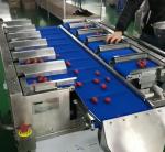 Semi Combination Weigher SUS 304 30 BPM For Food Fruit