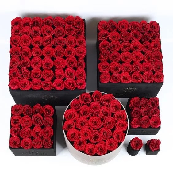 Regalos dia de las madres real rose flower rose regalos para pareja rose regalos de enamorados Long Lasting Flowers