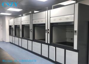 Quality Double Door Lab Fume Cupboard , Steel Material Chemistry Lab Fume Hood wholesale