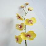 Real Touch PU Phalaenopsis