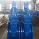 Resilent seated rising stem gate valve