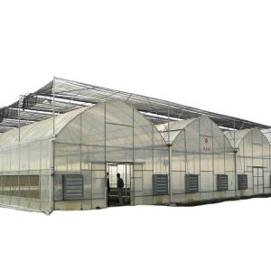 Quality Customized Multi-span Vegetable Grow Tunnel Greenhouse for Vegetable Cultivation wholesale