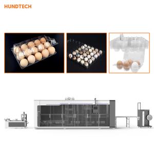 Quality Egg Containers Plastic Thermoforming Machine 3.0kw Compact wholesale