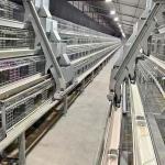 Chicken Egg Laying Hens Cage Commercial Poultry Farming Equipment Automated